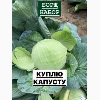 Куплю Капусту ОПТ Україн