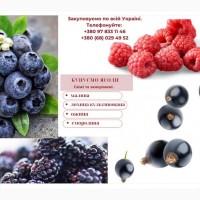 Куплю малину
