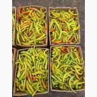 Продам перець гіркий, є великий обʼєм