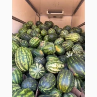 Продам кавун без хімії