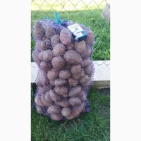 Продам картоплю