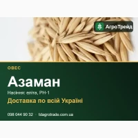 Сортове насіння вівса Азаман