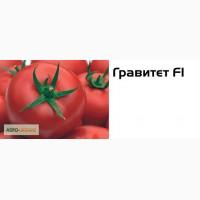 Продам семена томата Гравитет F1