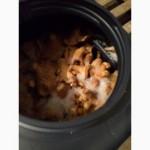 ᐉ 2017 Грибы СВЕЖИЕ ЛИСИЧКИ Цена за КГ! Купить Лисички Солёные Оптом! Фото Гриб Москва СПБ