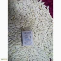 Куплю семена тыквы