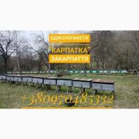 Продам бджолопакети або бджолосімї Карпатка