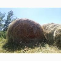 Продам сіно лугове в рулонах лугове