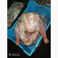 Продам тушку индюка от производителя