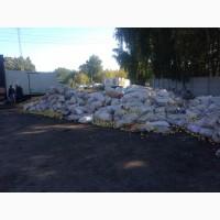 Яблоко на переработку