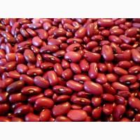 Закупаем фасоль разных сортов