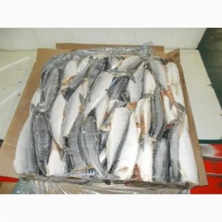 Оптовые продажи мяса/рыбы в ДНР/ЛНР