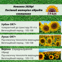 Новинки 2023! Посівний матеріал гібридів соняшника