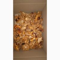 Гріб мухомор сухий шляпкі