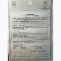 Продам гречку посівний матеріал сорт Селяночка
