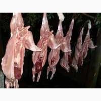Продам мясо кролика