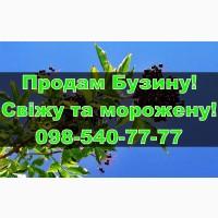 Реалізую ягоду бузини, власної заготівлі/переробки!Ціна Договірна