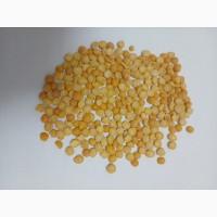 Крупа горохова.Горох колотий жовтий половинки