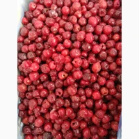 Продам вишню, АКЦІЙНА ЦІНА