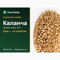 Пшениця озима Каланча: сертифіковане насіння (ІФРГ НАН і МІП)