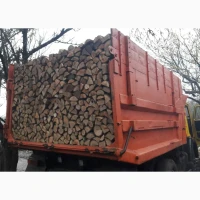 ДPOBA продам Aкaцiя, Дуб, Тополь