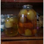 Гриба веселка лечение онко