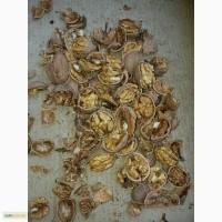 Продам грецкий орех (в скорлупе, бойный, кругляк, светлый)