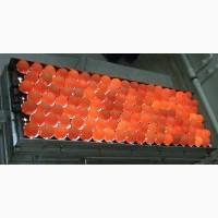 Инкубационные яйца Венгрия Польша Чехия (маркированные) КООБ 500 и другие породы