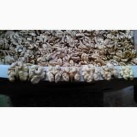 Грецкий орех