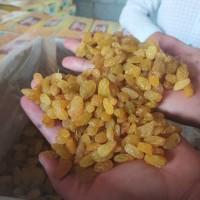 Курага, чернослив, изюм из Узбекистана оптом