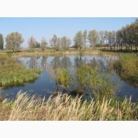 Продаж тваринницького комплексу