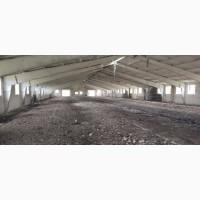 Продаж тваринницького комплексу