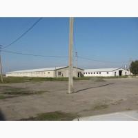 Продаж тваринницького комплексу