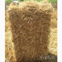 Продам Солому в тюках, оптом дешевле