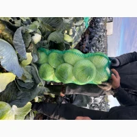 Продам капусту Агрессор
