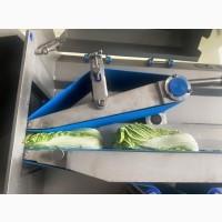 Овочерізка промислова, нарізка та шаткування овочів та фруктів STvega Belt Cutter Pro L150
