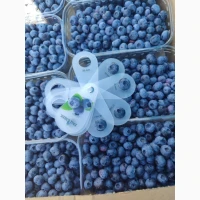 Продам Лохина ягоди