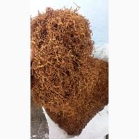 Капитан Блєк, Парламент, Собрание, Мальборо, Золоте Руно