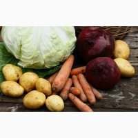 Куплю білокачанну капусту, овочі борщового набору (морква, буряк, капуста, цибуля)