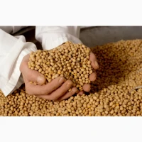 Продам сою, 300+ тон