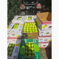 Продам яблука різних сортів