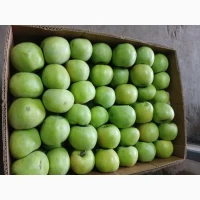 Продам яблуко Гала Роял, Чемпіон, Голден, Лигольд, Семиренко, Амулет, Ліберті
