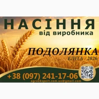 Насіння. Озима пшениця Подолянка, еліта 2026