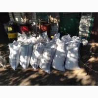 Продам насіння фацелію, ідеально чиста 130 грн