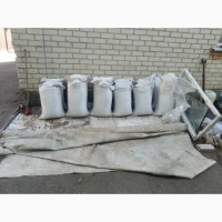 Продам насіння фацелію, ідеально чиста 130 грн