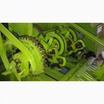 Пресс-подборщик тюковый CLAAS Markant 50