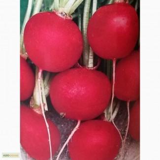 Семена редиса