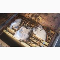 Сахарная пудра для подкормки пчёл. Канди. Для Медовухи предел мечтаний