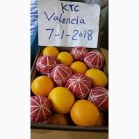 Продам апельсины из Египта