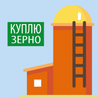 Закупаем зерно по переписи на элеваторе от 200 т