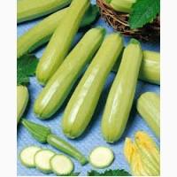 Постоянно в наличии кабачки Кавили. 3, 0грн/кг